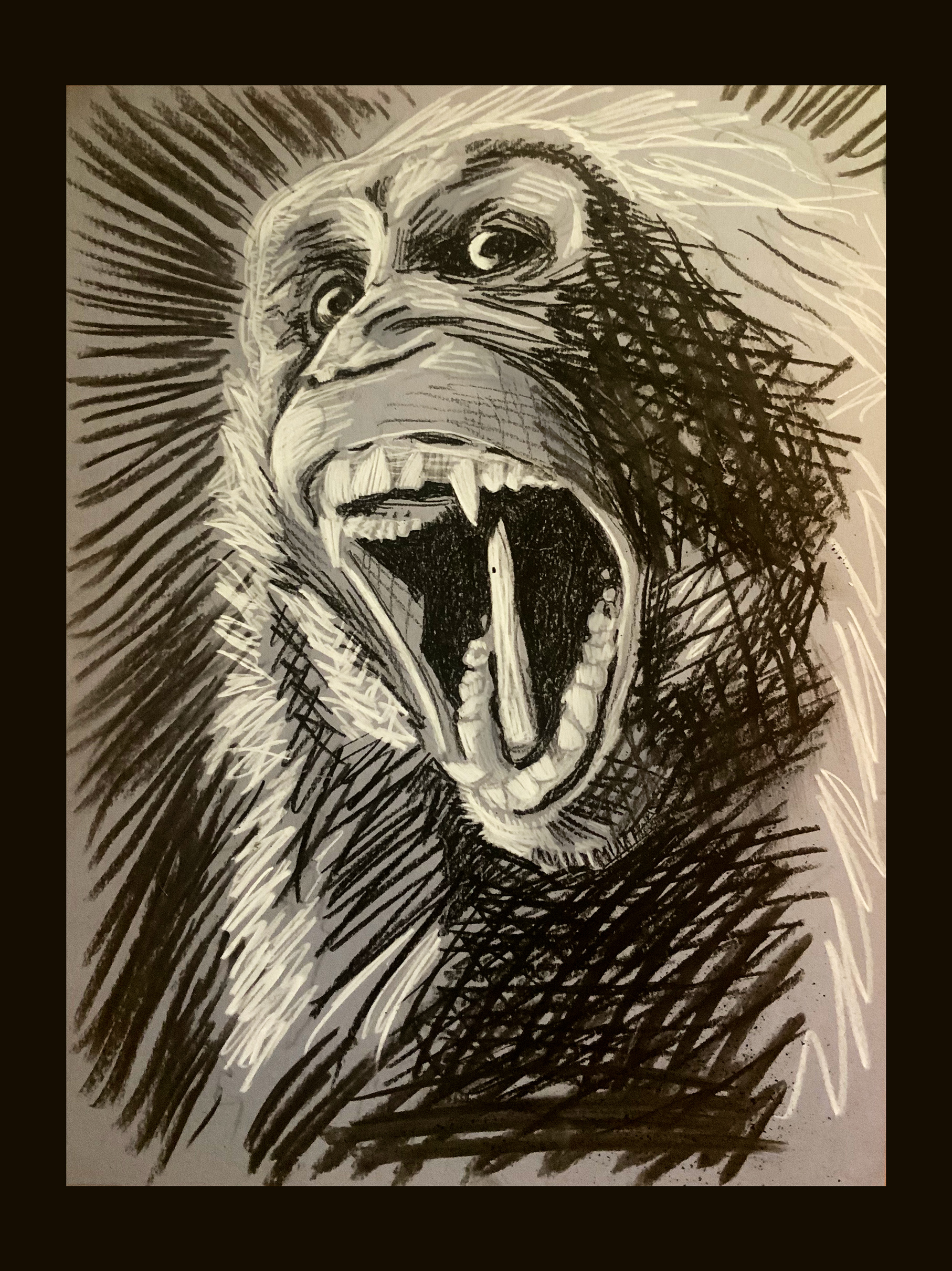 Monkey portaits